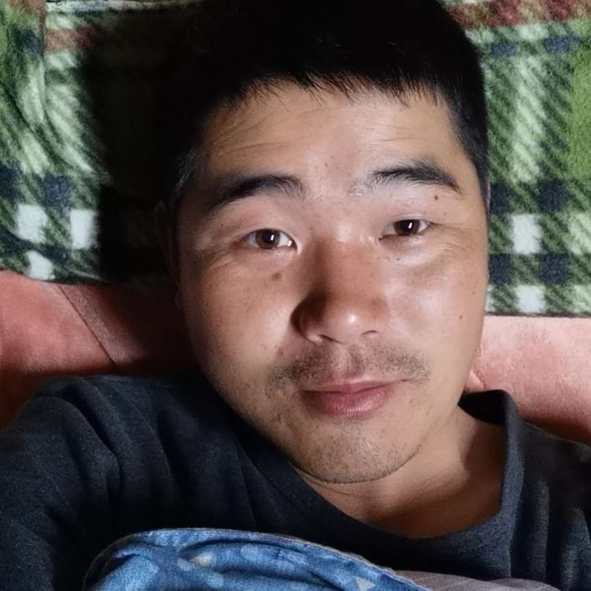 翩飞愿老虎的照片