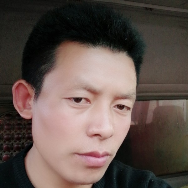 疯狂小鸽子的照片