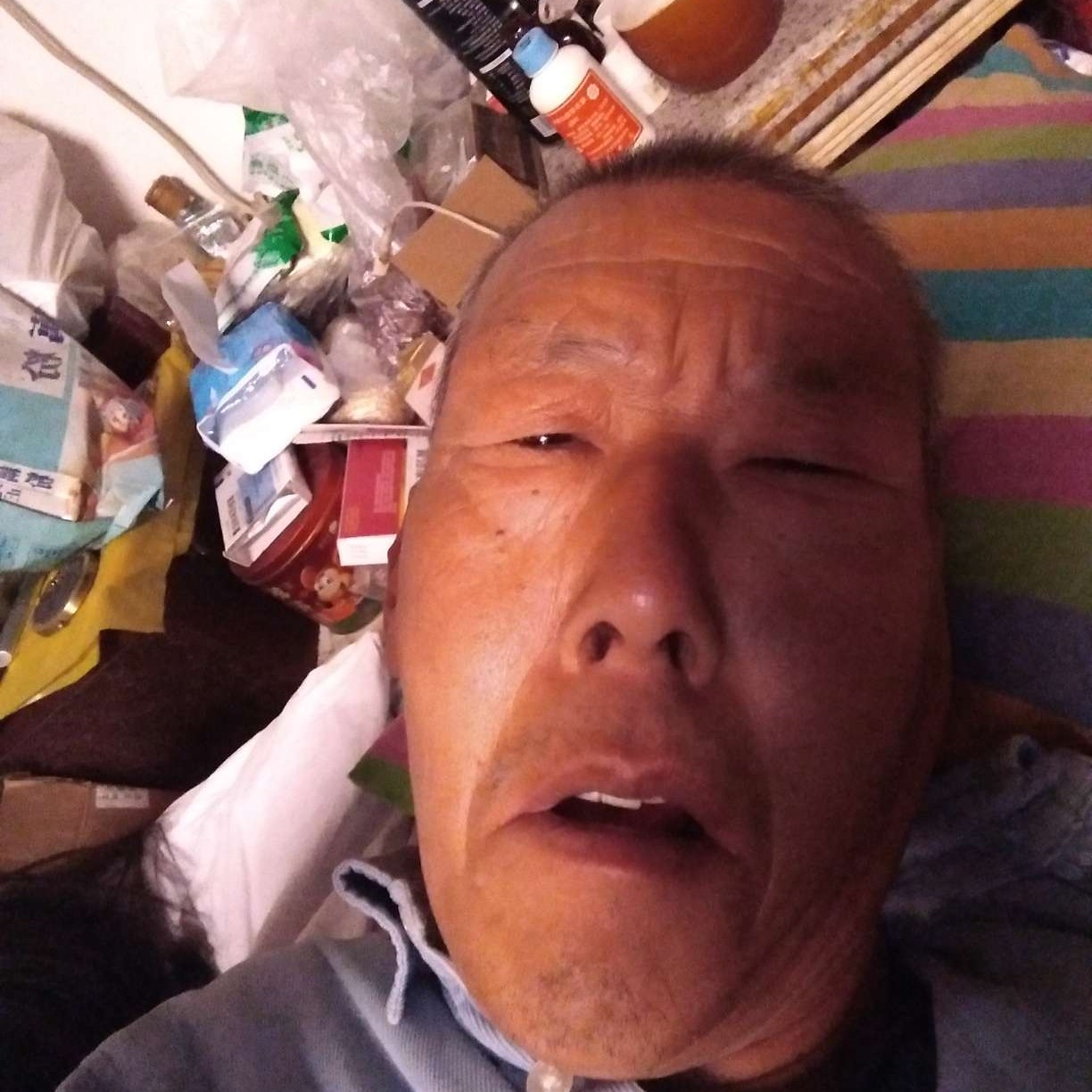 橘子向热心的照片