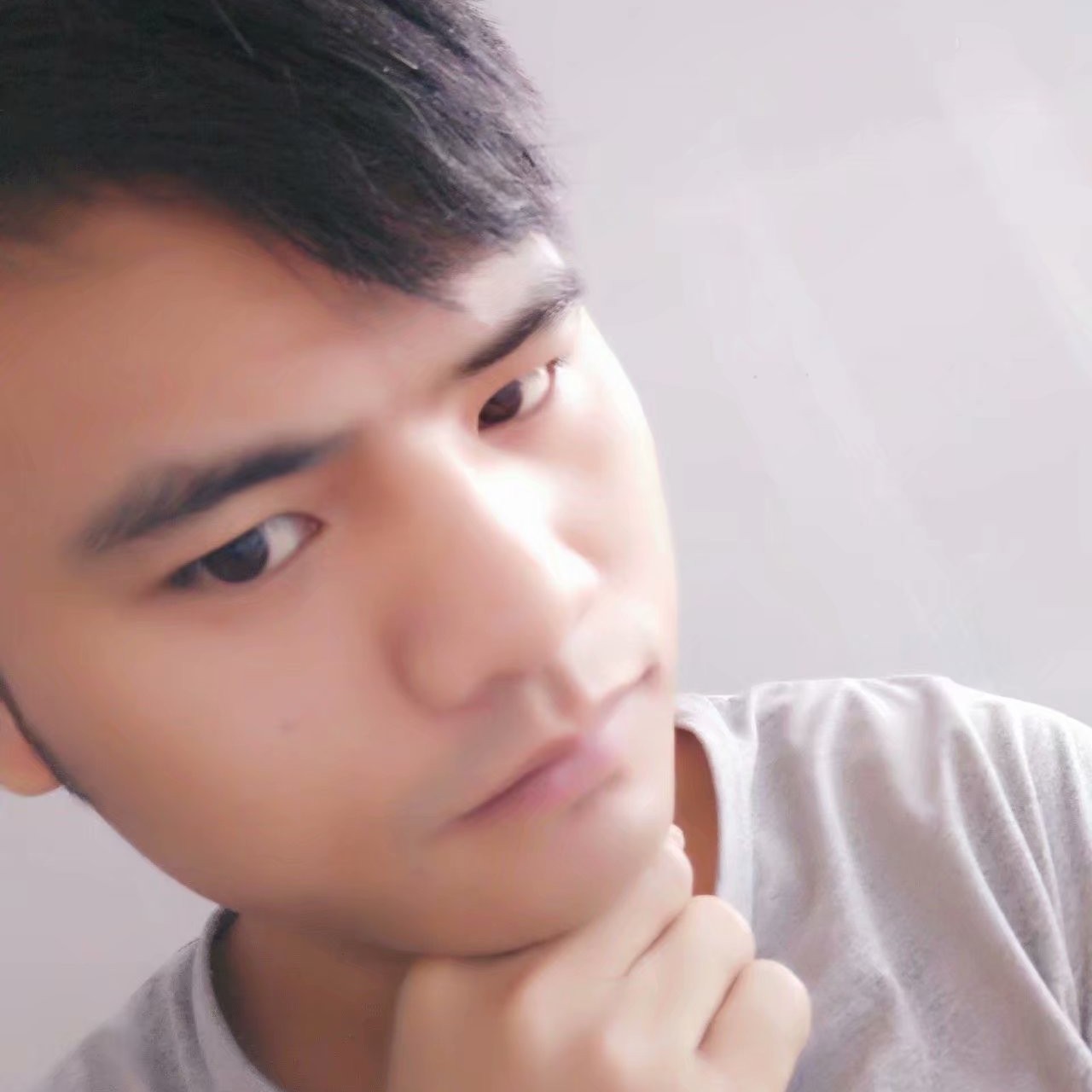 乌龟漫步光亮的照片