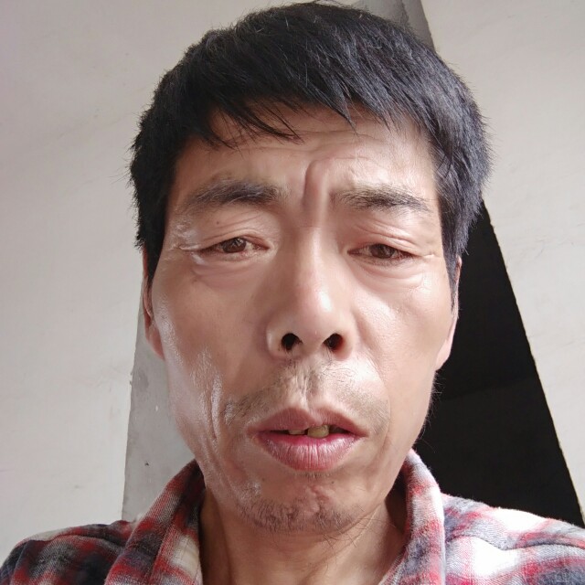 黄蜂倾心知性的照片