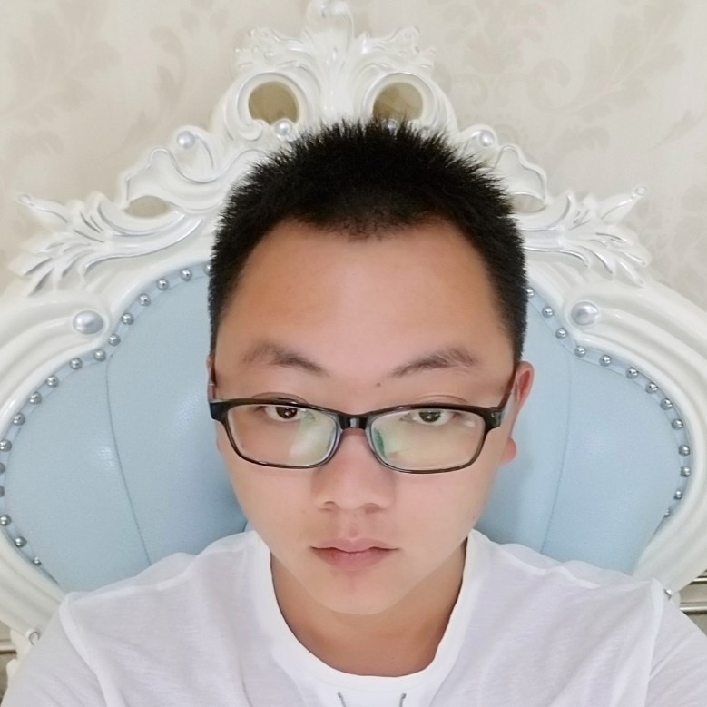 动听说小海豚的照片
