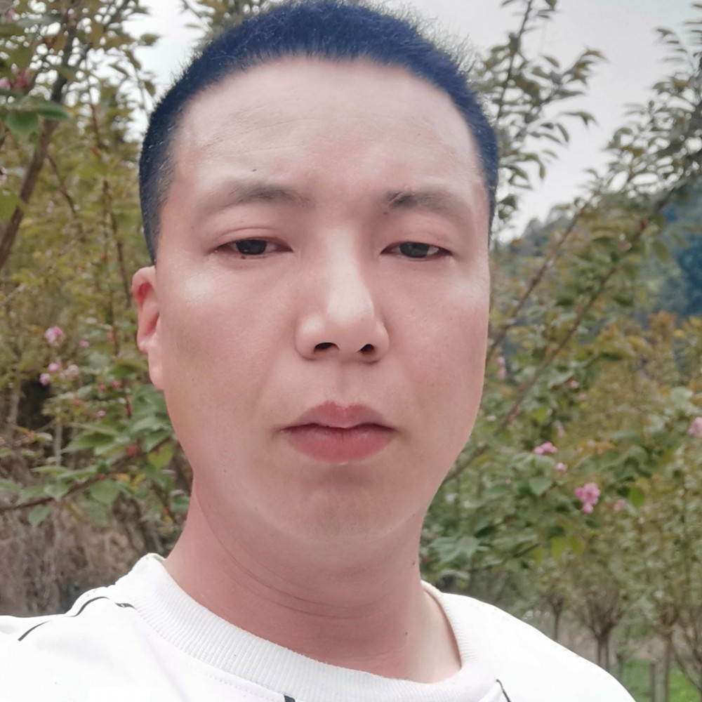 简单和孤独的照片