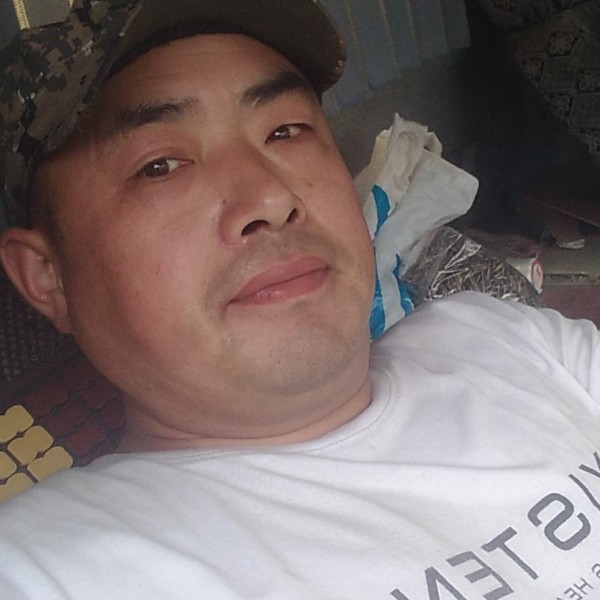 小蚂蚁内向的照片