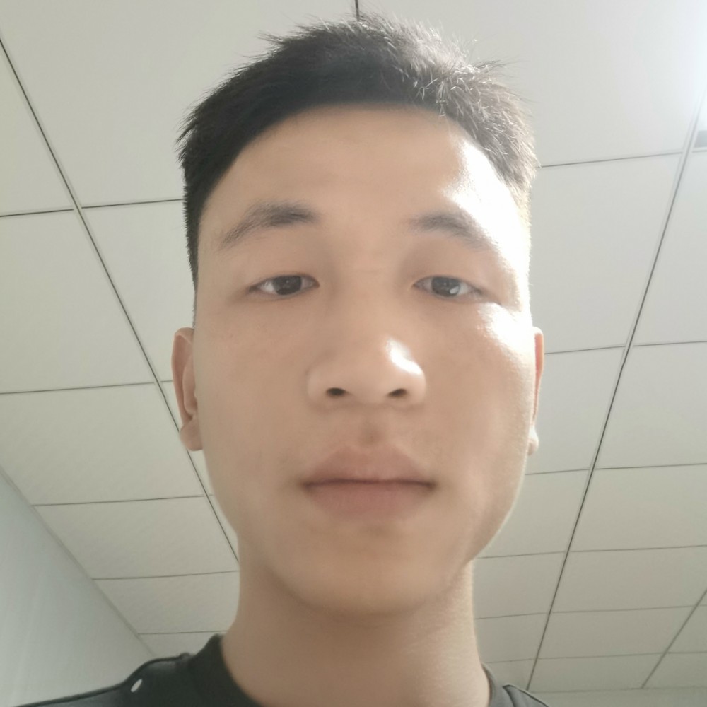 哪来的风的照片