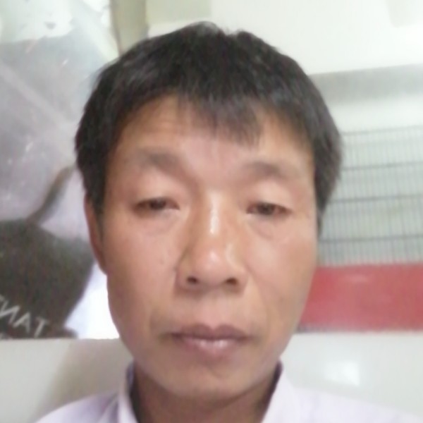 烂漫战斗机的照片