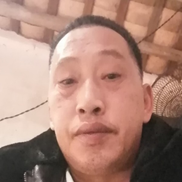 恬静爱衬衫的照片