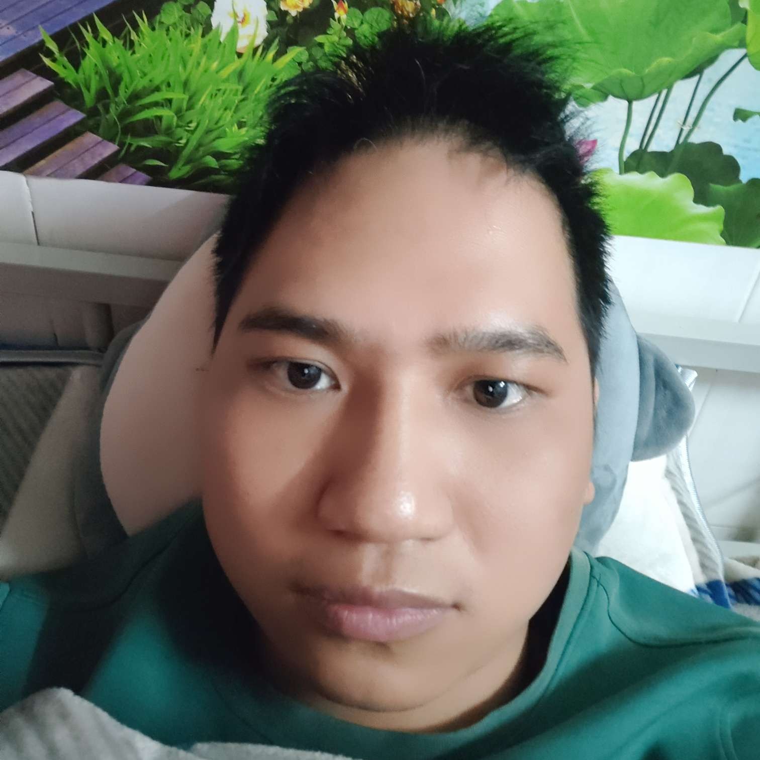 鑫鑫向往的照片