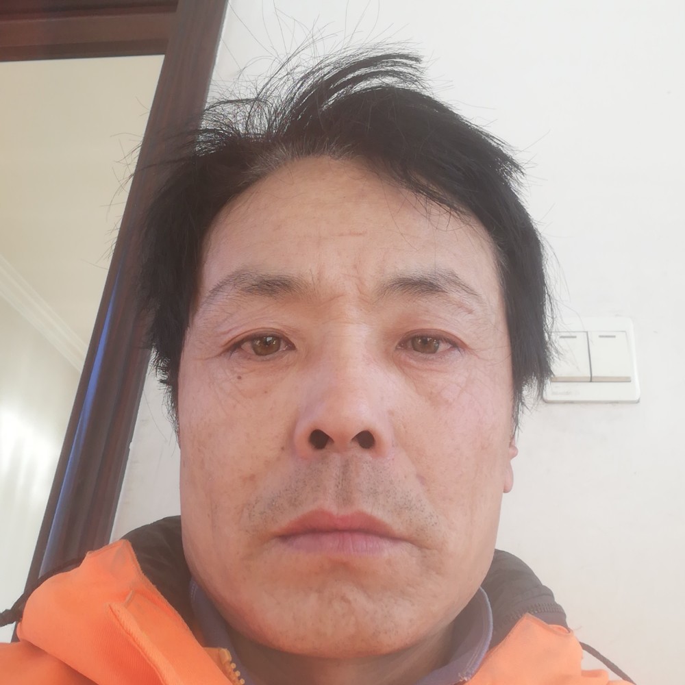 蛋挞安详的照片
