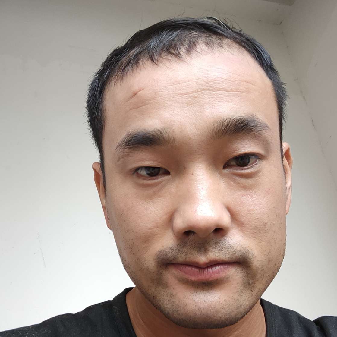 野性和机器猫的照片