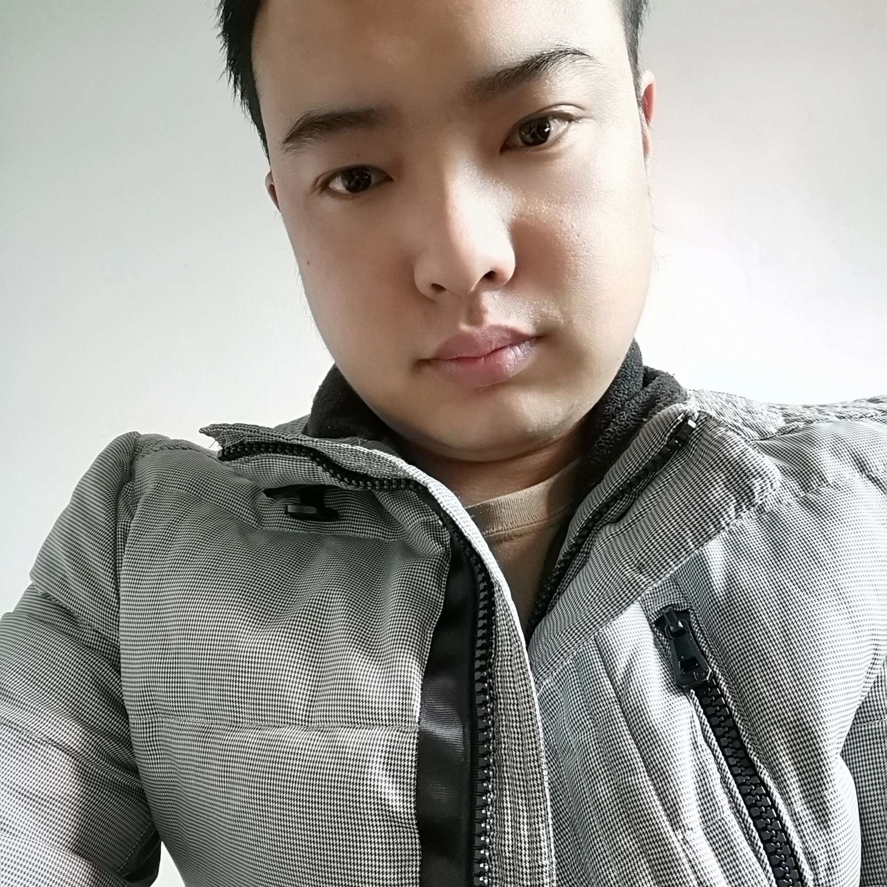 不期而遇的傻子的照片