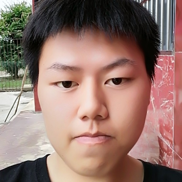 苹果請小猫咪的照片