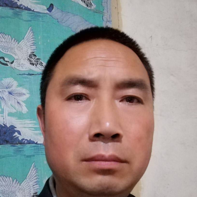 勤奋吃醋抽屉的照片