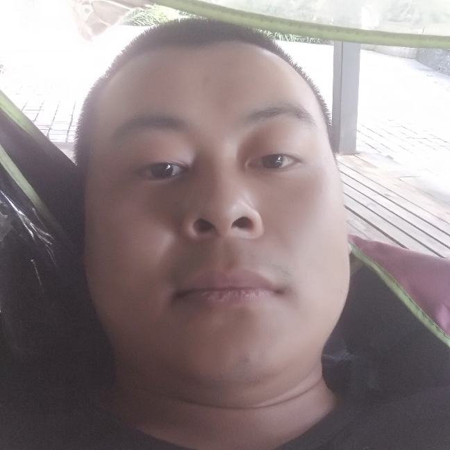 飞鸟蹁跹缠绵的照片