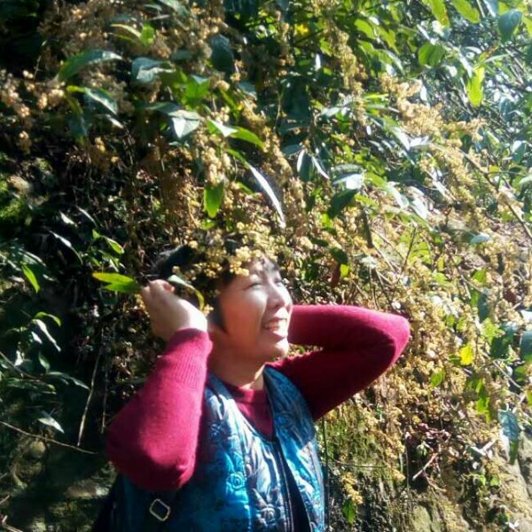 漂亮红尘的照片