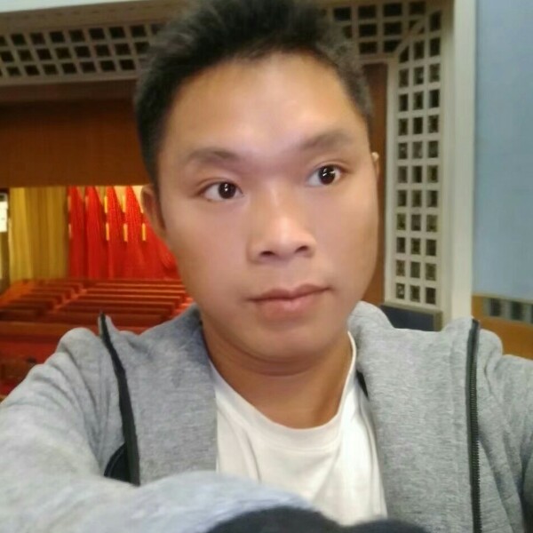 小蜜蜂苦恋纯真的照片