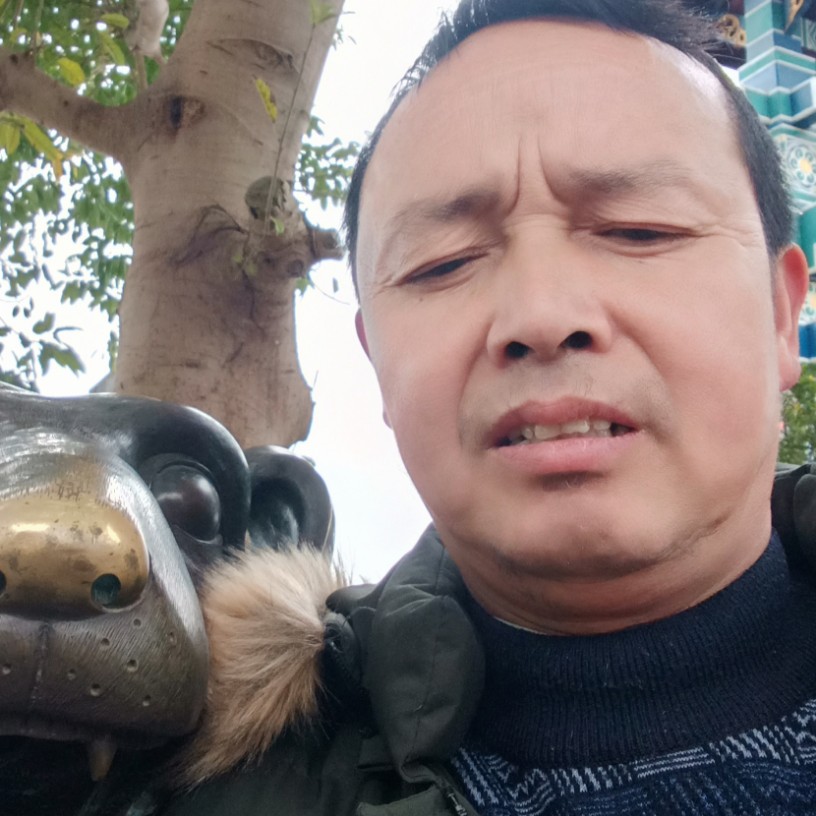 健忘迎胡萝卜的照片