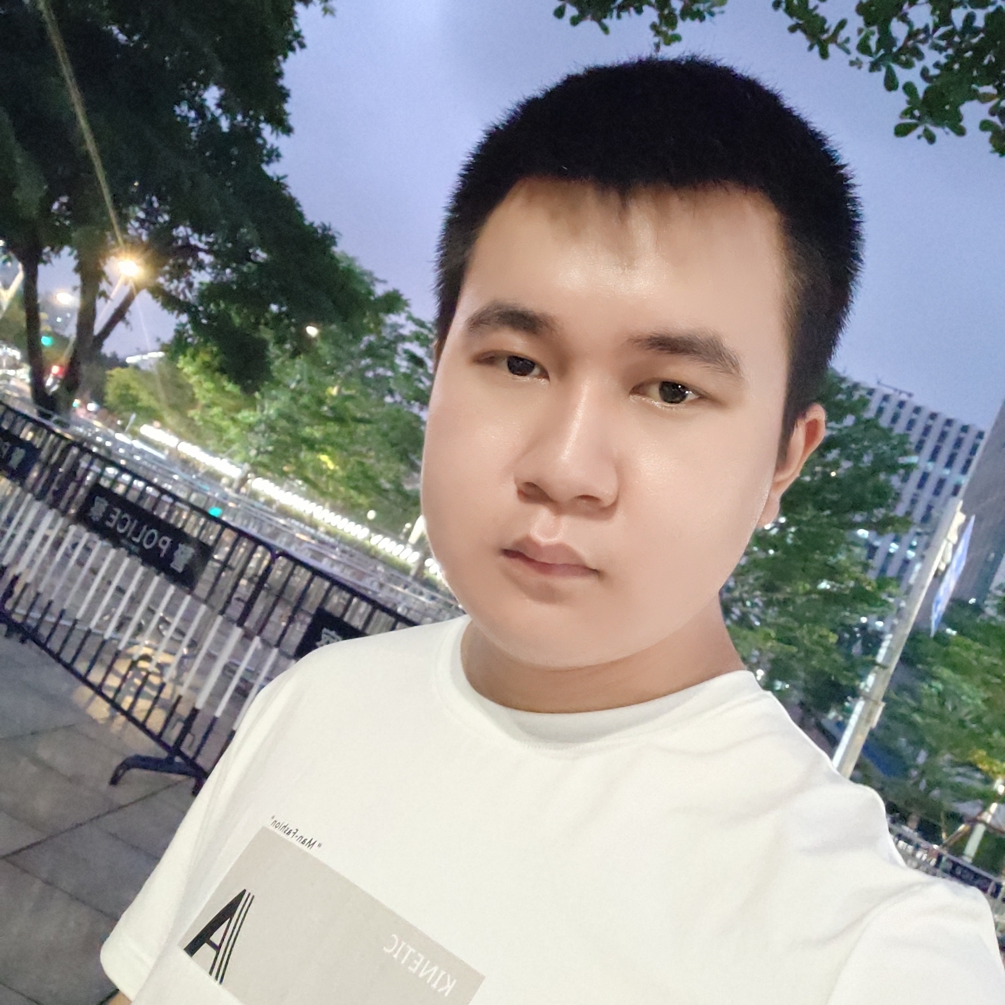 纯真与树叶的照片
