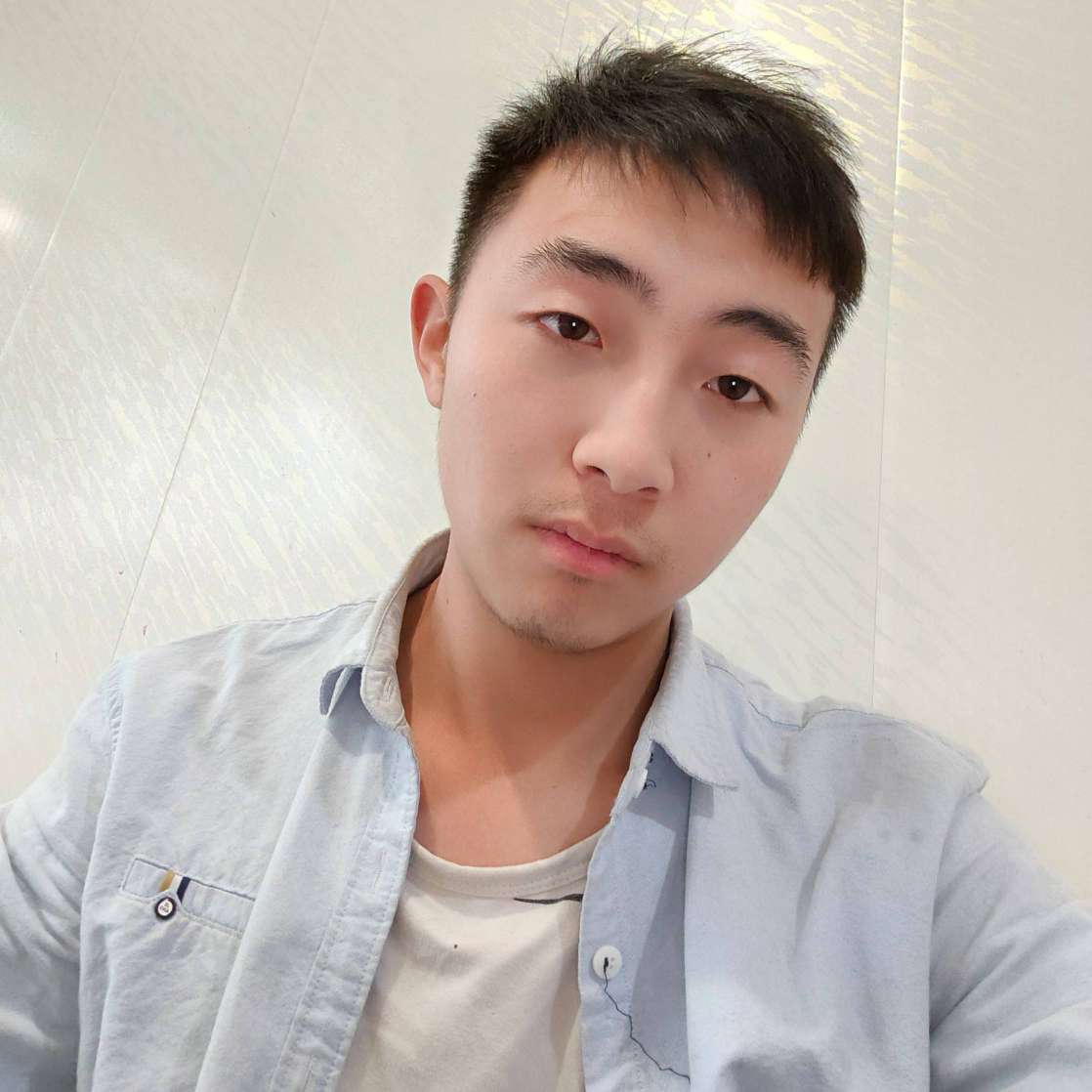 小鳄鱼有碍的照片