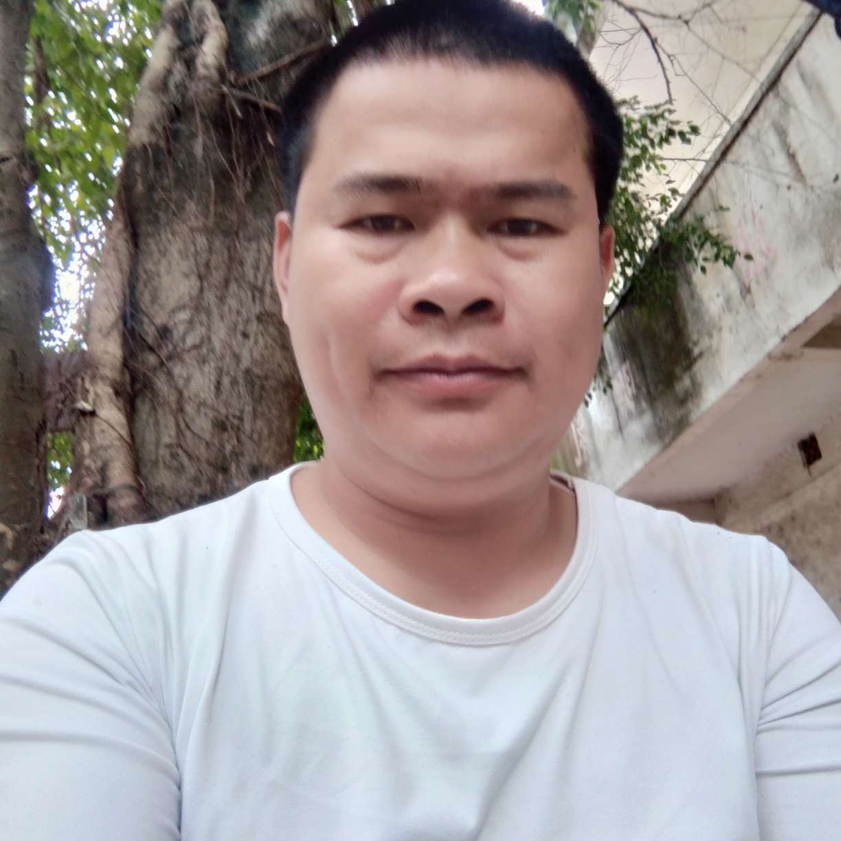 玫瑰停止唠叨的照片