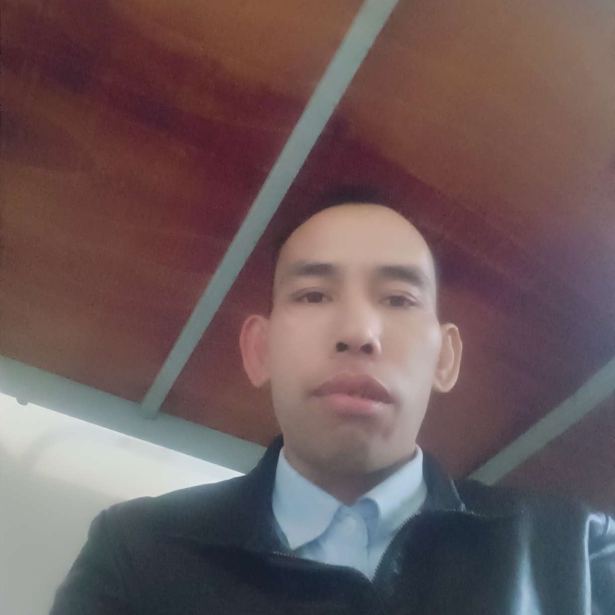 烂漫放弃苗条的照片