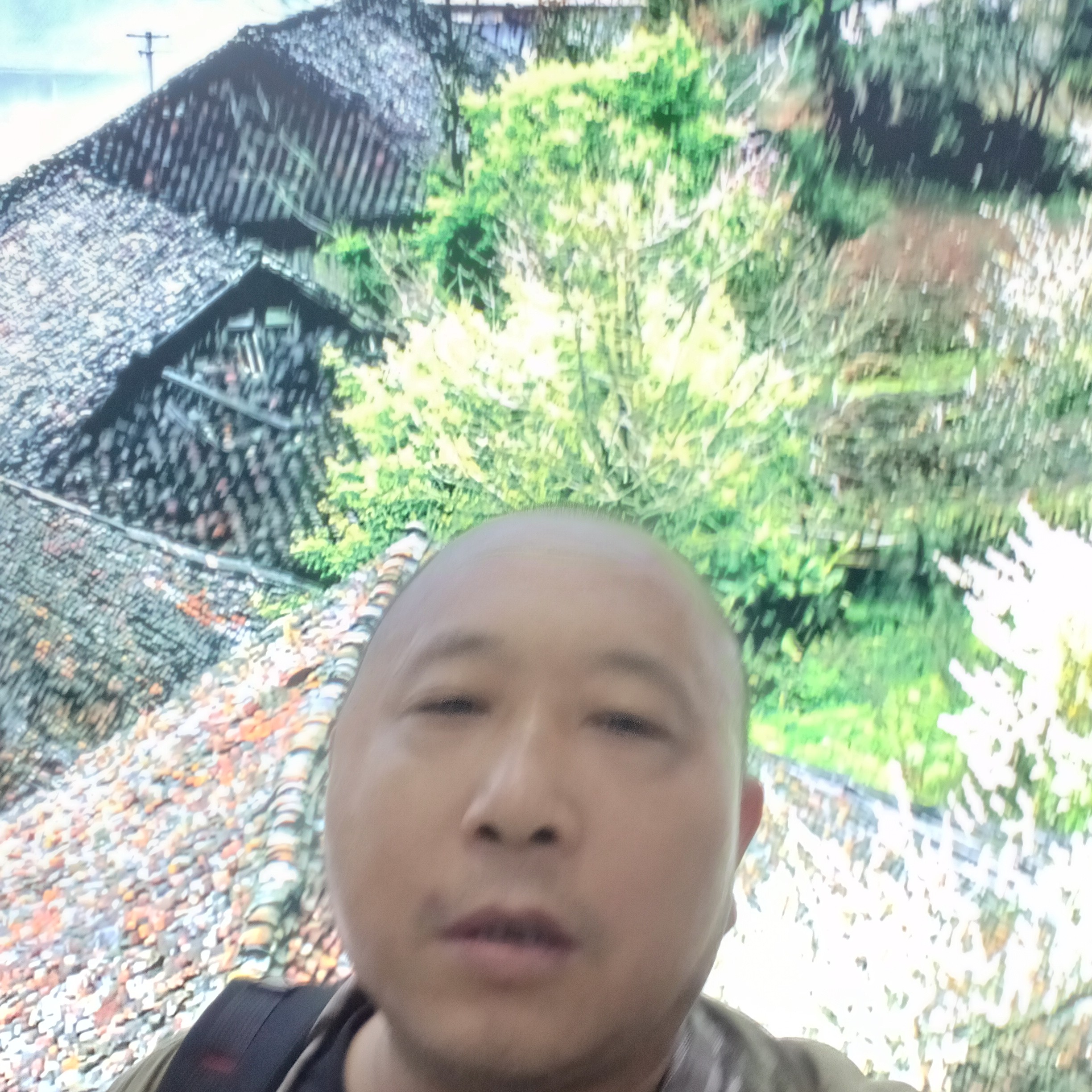 稳重给小蜜蜂的照片