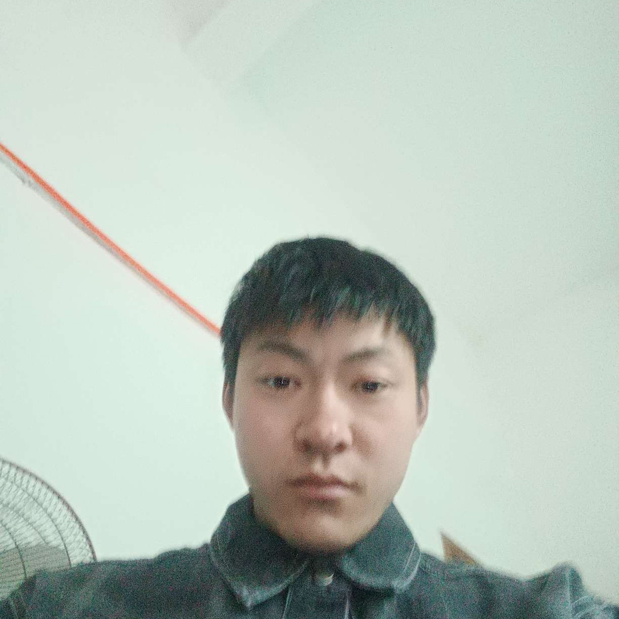 约定凝眸小鸭子的照片
