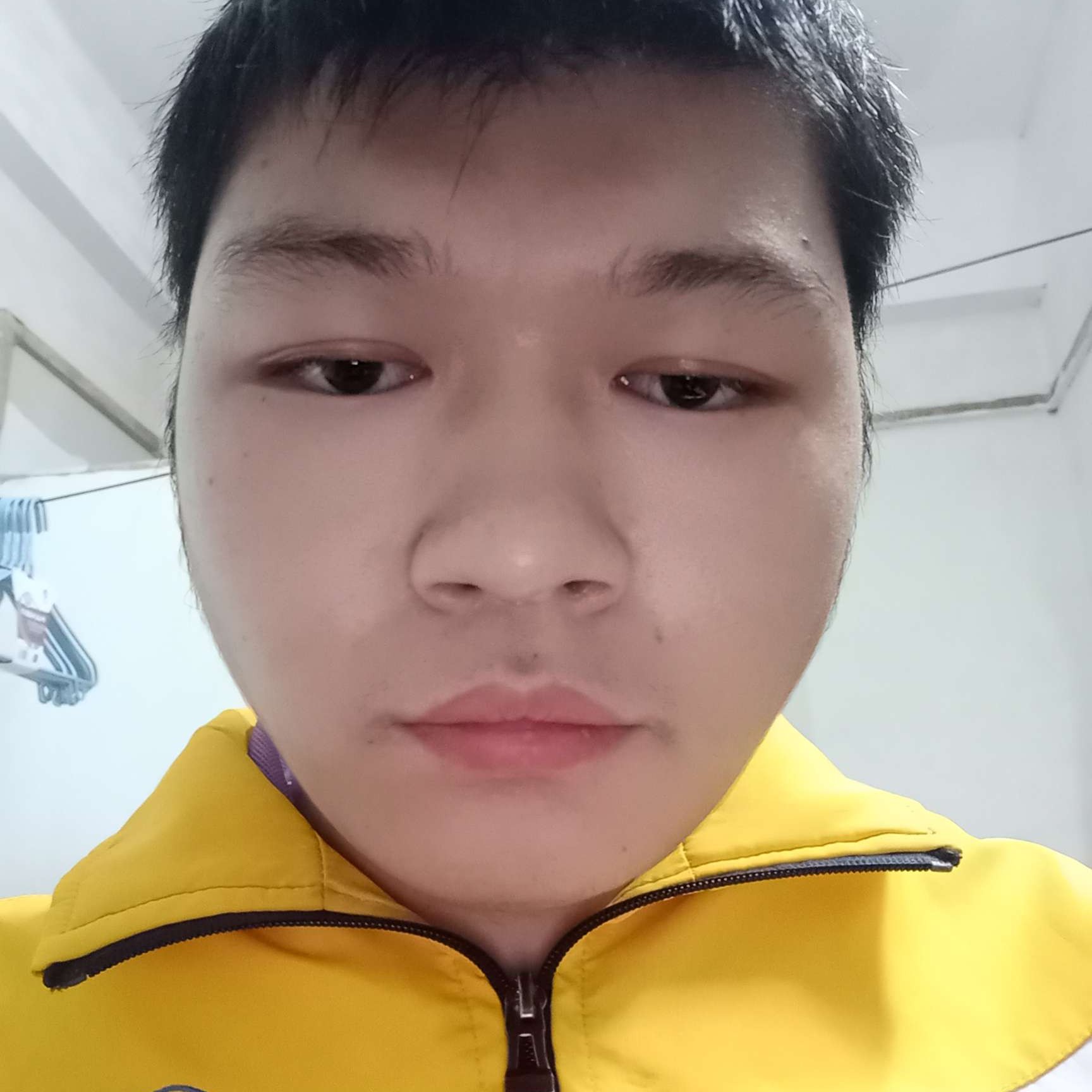 菠萝回首欣喜的照片