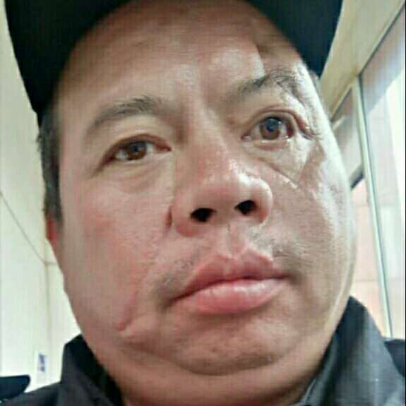 灰狼深拥踏实的照片