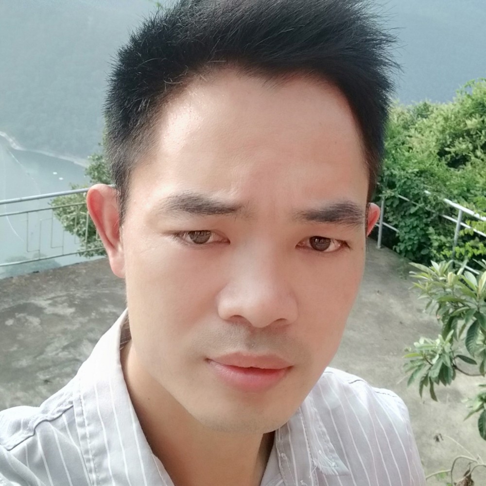 淡漠如尘的照片