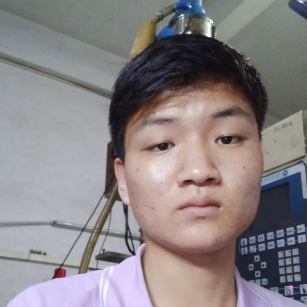 黄蜂认真的照片