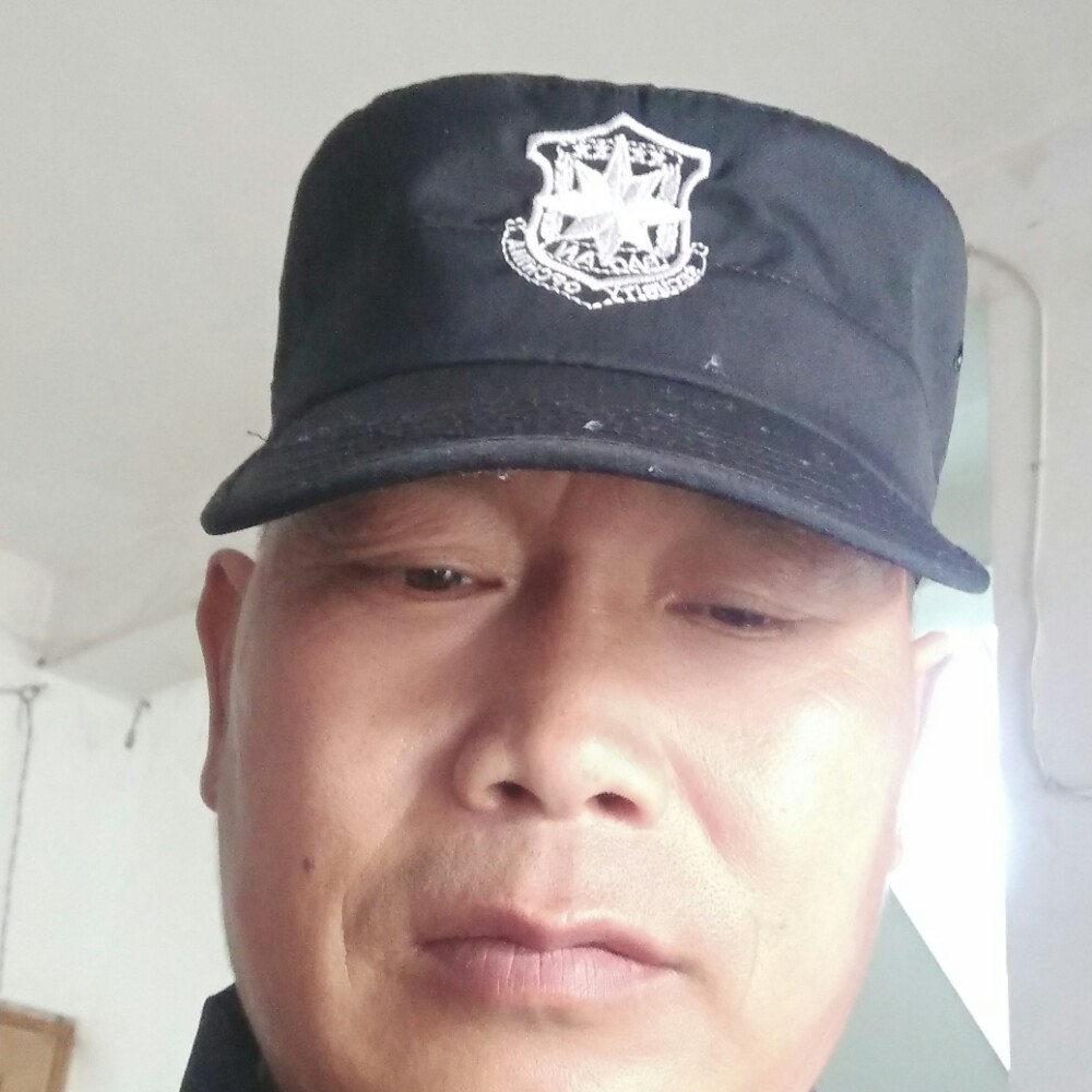 大雁还有魅力的照片
