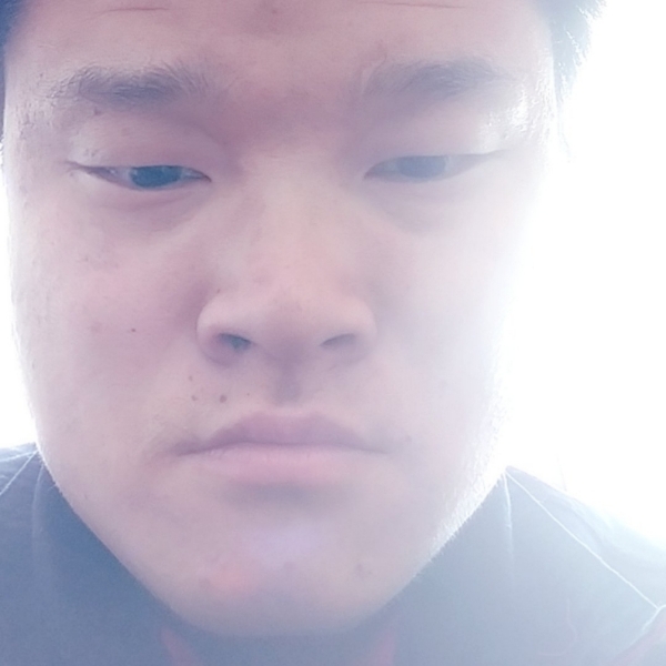 88667711的照片