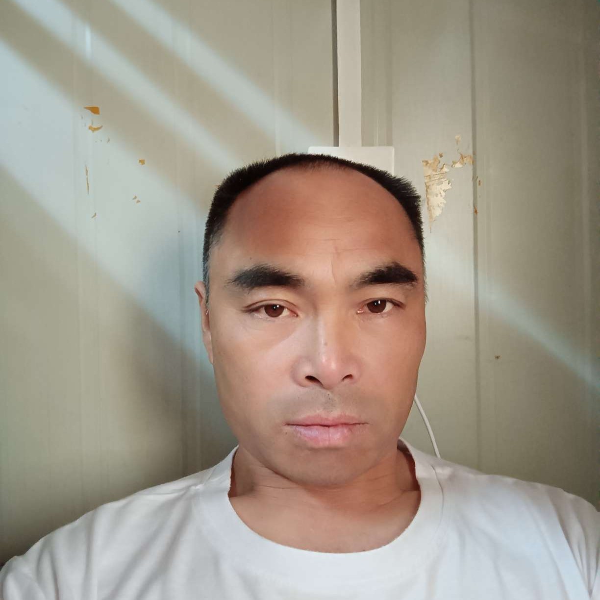 到线为止的照片