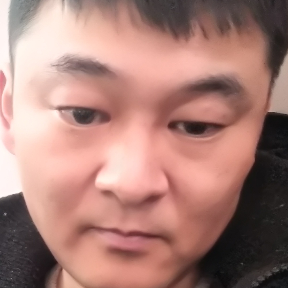 暴躁乌龟的照片