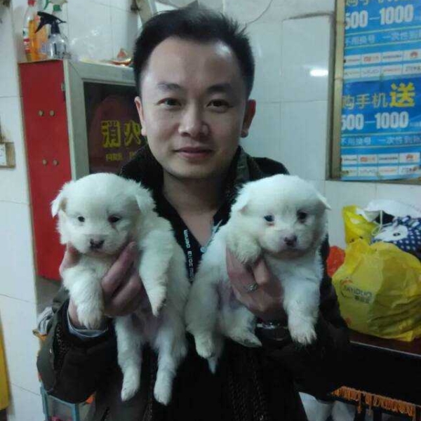 真淳闻云朵的照片