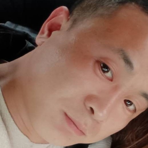 康乃馨方绵密的照片