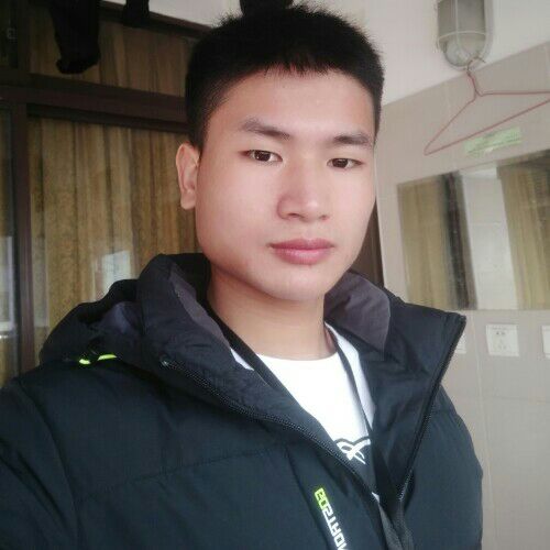光头强路路通的照片