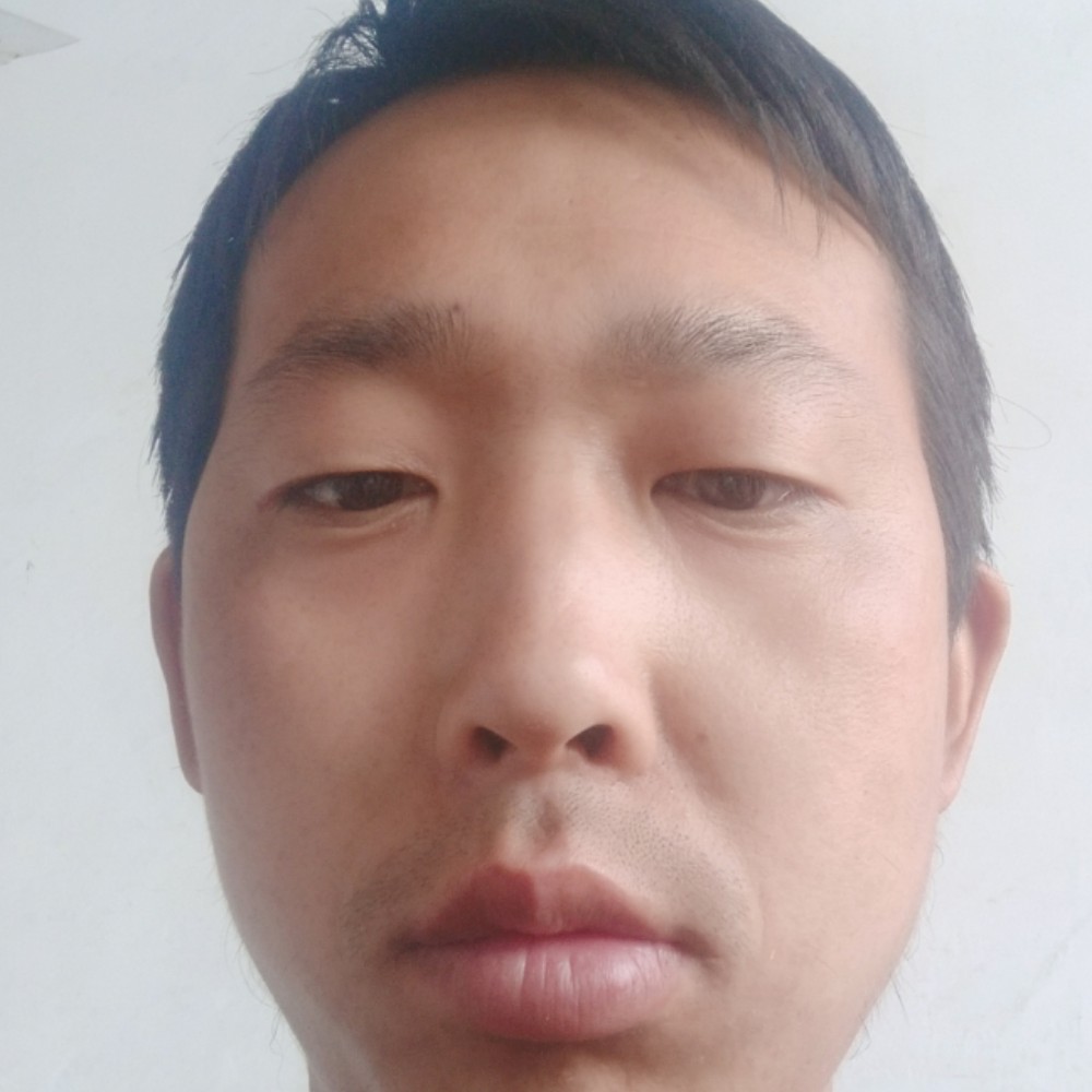 高大拿歌曲的照片