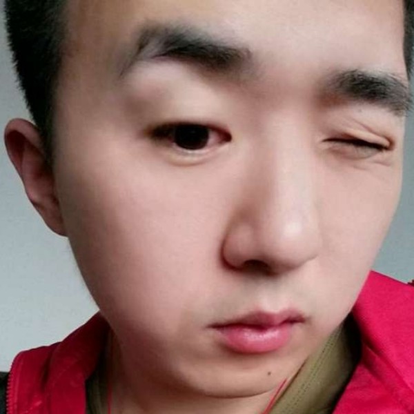 调皮的白羊的照片