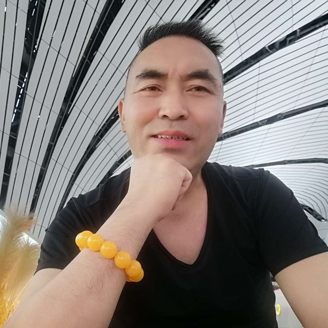 北方狼爱南方羊的照片