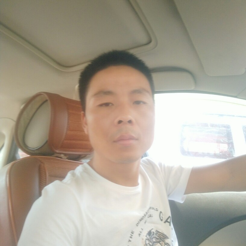 细腻停止野狼的照片