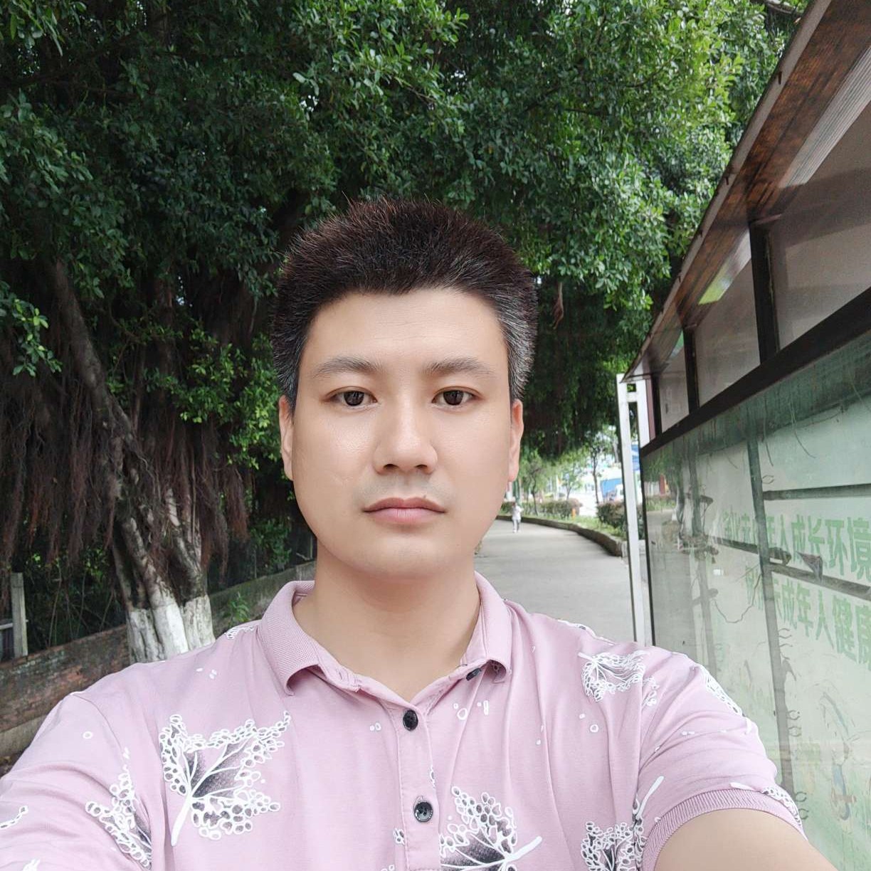 灼热漫步黄蜂的照片
