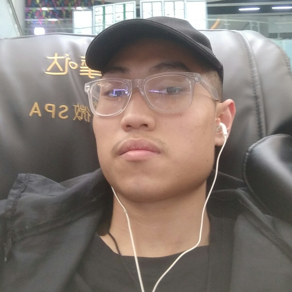 仙人掌的活泼的照片