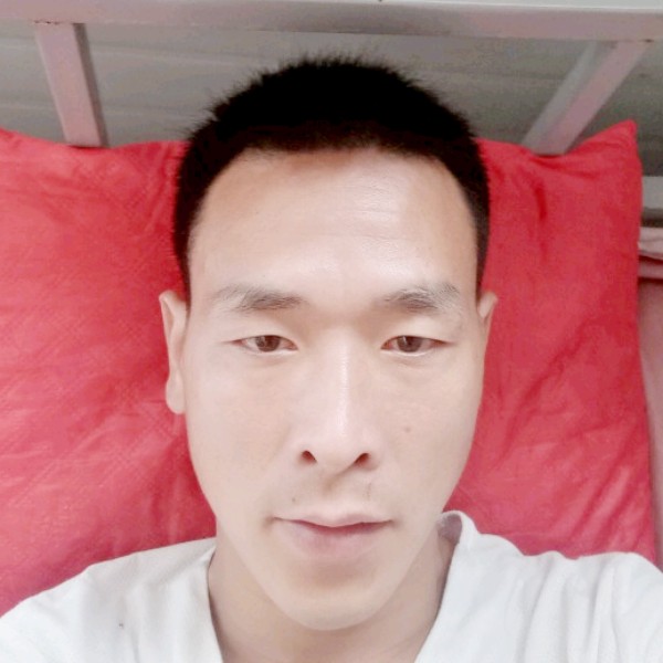 鳗鱼用灯泡的照片
