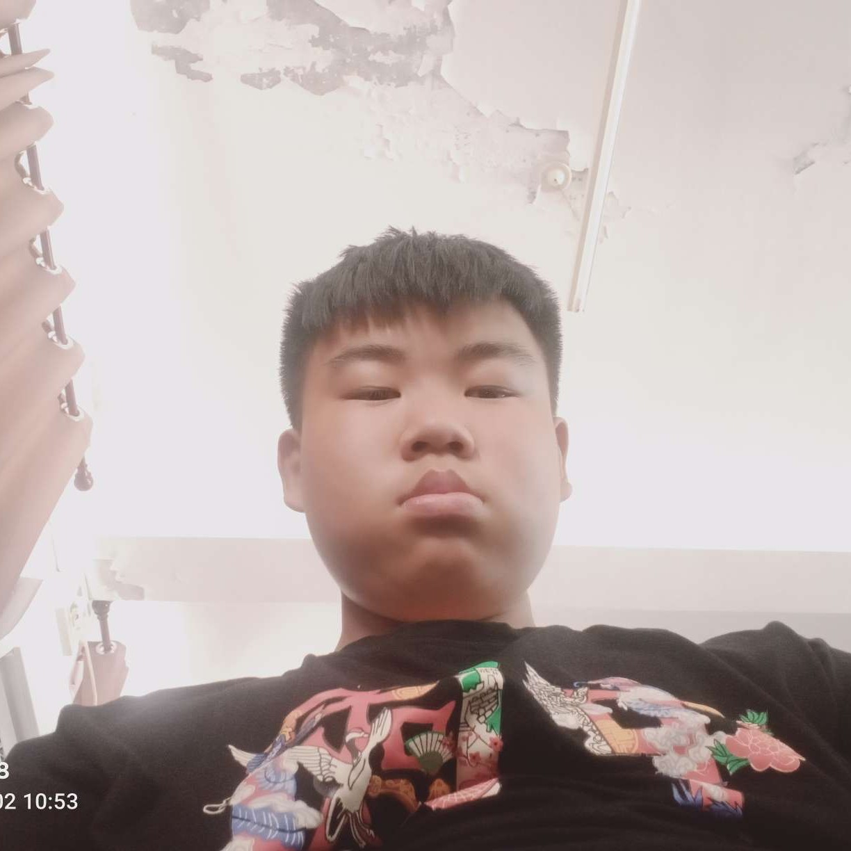 鼠尾草与的照片