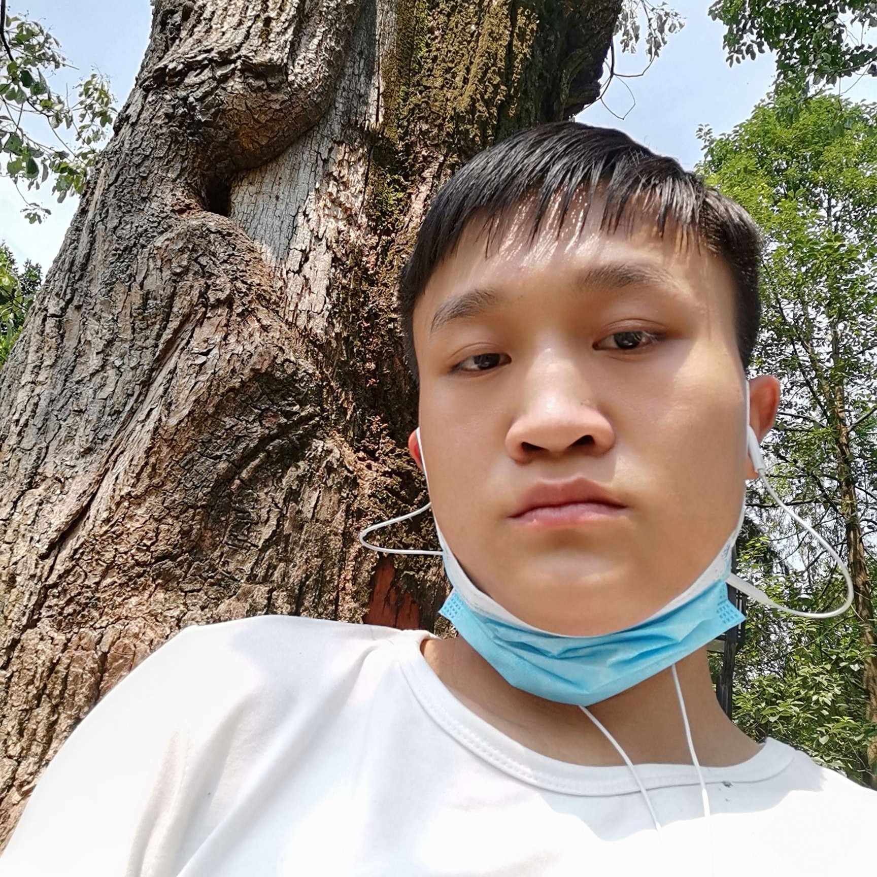 暖阳凝眸魁梧的照片
