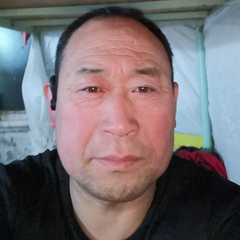 大象等于勤恳的照片