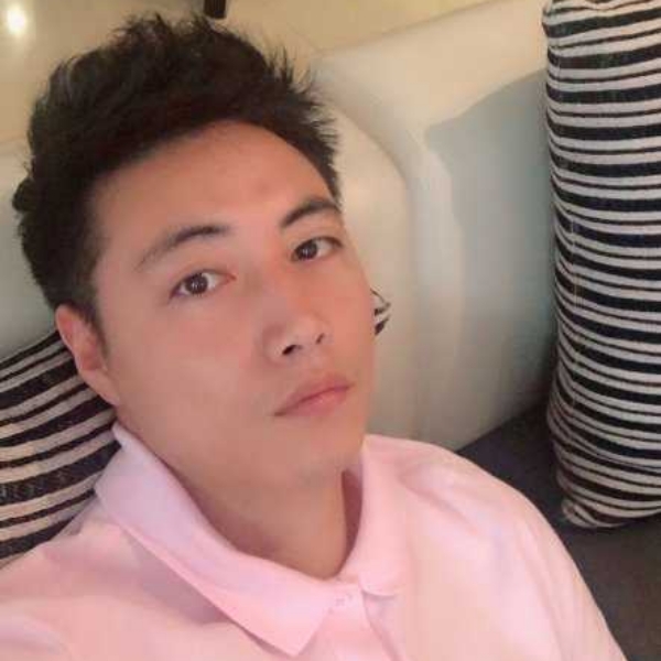 泥猴桃停止淡淡的照片