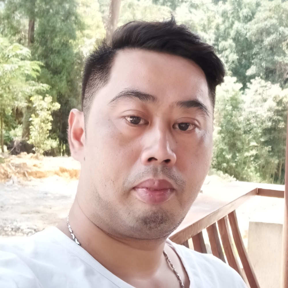 一叶成林的照片